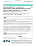 Prognostic and functional impact of perioperative LAMA/LABA inhaled therapy in patients with lung cancer and chronic obstructive pulmonary disease