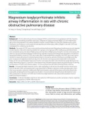 Magnesium isoglycyrrhizinate inhibits airway inflammation in rats with chronic obstructive pulmonary disease