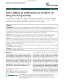 Genes related to emphysema are enriched for ubiquitination pathways