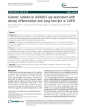 Genetic variants in ADAM33 are associated with airway inflammation and lung function in COPD