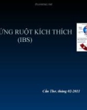 Bệnh học: HỘI CHỨNG RUỘT KÍCH THÍCH