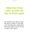 Nhân bản tế bào mầm từ noãn của thỏ và tế bào người