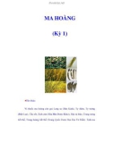 MA HOÀNG (Kỳ 1)