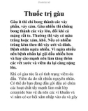 Thuốc trị gàu