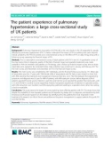 The patient experience of pulmonary hypertension: A large cross-sectional study of UK patients