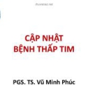 Bài giảng Cập nhật bệnh thấp tim - PGS. TS. Vũ Minh Phúc