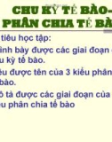 Chu kỳ tế bào- phân chia tế bào