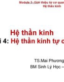 Bài giảng Hệ thần kinh: Bài 2 - Hệ thần kinh tự chủ