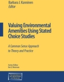 Ebook Valuing environmental amenities using stated choice studies: A common sense approach to theory and practice