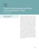 Ebook Clinical echocardiography of the dog and cat: Part 2