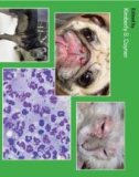 Ebook Clinical atlas of canine and feline dermatology: Part 1