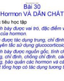 Hormon và dẫn chất