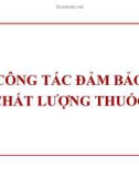 Bài giảng Công tác đảm bảo chất lượng thuốc