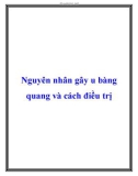 Nguyên nhân gây u bàng quang và cách điều trị