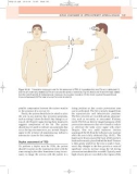 Peripheral Vascular Ultrasound - part 7