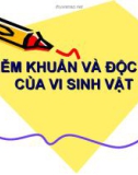 NHIỄM KHUẨN VÀ ĐỘC LỰC CỦA VI SINH VẬT