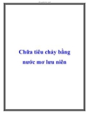 Chữa tiêu chảy bằng nước mơ lưu niên