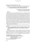 Báo cáo ca lâm sàng: Tổn thương tủy sống bán cấp và thần kinh ngoại vi do lạm dụng khí cười