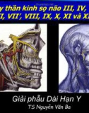 Bài giảng Các dây thần kinh sọ não III, IV, V, VI, VII, VII', VIII, IX, X, XI và XII - TS. Nguyễn Văn Ba