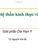 Bài giảng Hệ thần kinh thực vật - TS. Nguyễn Văn Ba