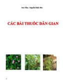 Các bài thuốc dân gian - Nguyễn Khắc Bảo