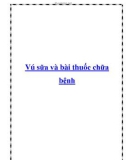 Vú sữa và bài thuốc chữa bệnh