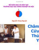 Châm cứu thú y