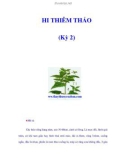 HI THIÊM THẢO (Kỳ 2)