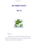 HI THIÊM THẢO (Kỳ 3)