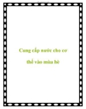 Cung cấp nước cho cơ thể vào mùa hè