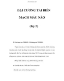 ĐẠI CƯƠNG TAI BIẾN MẠCH MÁU NÃO (Kỳ 5)