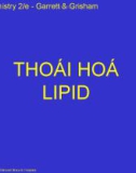 THOÁI HOÁ LIPID