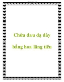 Chữa đau dạ dày bằng hoa lăng tiêu