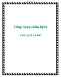 Công dụng chữa bệnh của quả sa kê