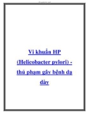 Vi khuẩn HP (Helicobacter pylori) thủ phạm gây bệnh dạ dày