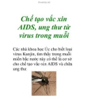 Chế tạo vắc xin AIDS, ung thư từ virus trong muỗi