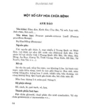 Cây hoa chữa bệnh (Phần 2)