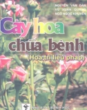 Cây hoa chữa bệnh (Phần 1)