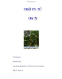 THỎ TY TỬ (Kỳ 2)