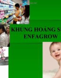 Bài thuyết trình đề tài: Khủng hoảng sữa Enfagrow