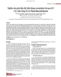 Nghiên cứu phát hiện đột biến kháng artemisinin trên gen K13 ở ký sinh trùng sốt rét Plasmodium falciparum