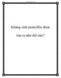 Kháng sinh penicillin được tìm ra như thế nào?