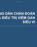 Hướng dẫn chẩn đoán và điều trị viêm gan siêu vi