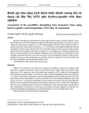 Đánh giá khả năng kích thích hình thành xương khi sử dụng vật liệu Mg AZ31 phủ hydroxyapatite trên thực nghiệm