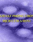 Bài thuyết trình: Giám sát phòng chống dịch cúm A/H1N1