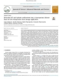 Deviceful LiCl salt hydrate confinement into a macroporous silicone foam for low-temperature heat storage application