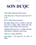 SƠN DƯỢC