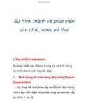 Sự hình thành và phát triển của phôi, nhau và thai