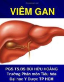 Bài giảng Viêm gan - PGS.TS.BS Bùi Hữu Hoàng