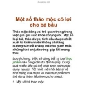 Một số thảo mộc có lợi cho bà bầu